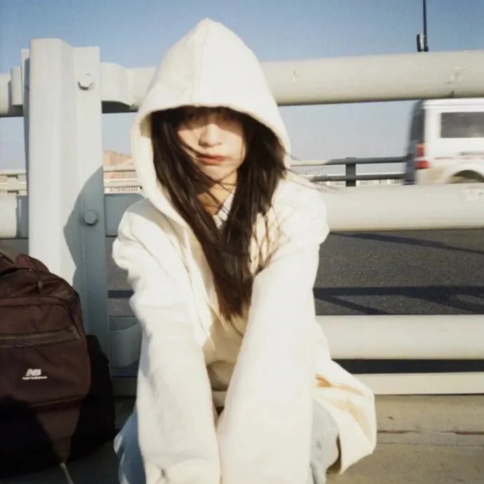 玫瑰藏进晚风里